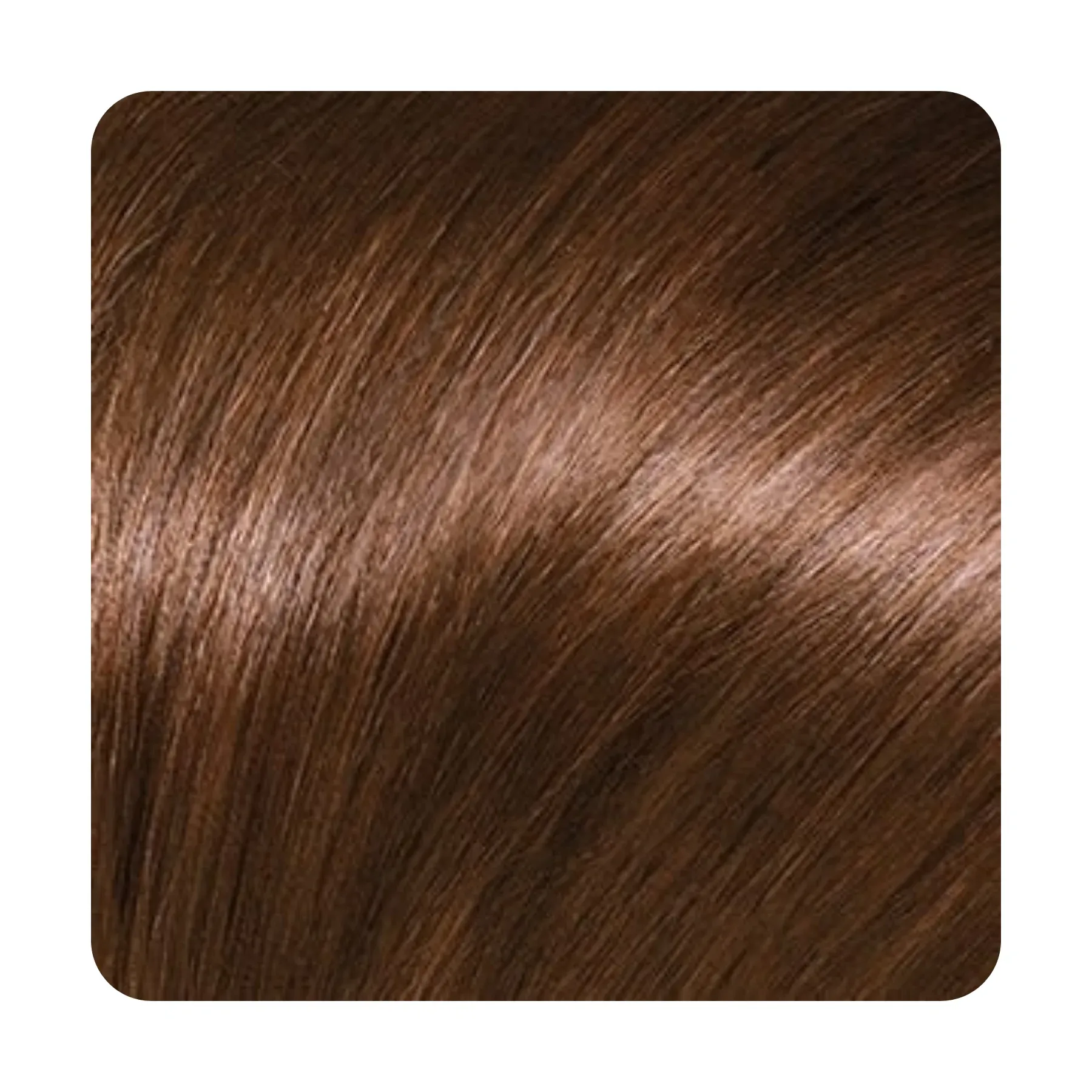 LOURO ESCURO 600 -2-